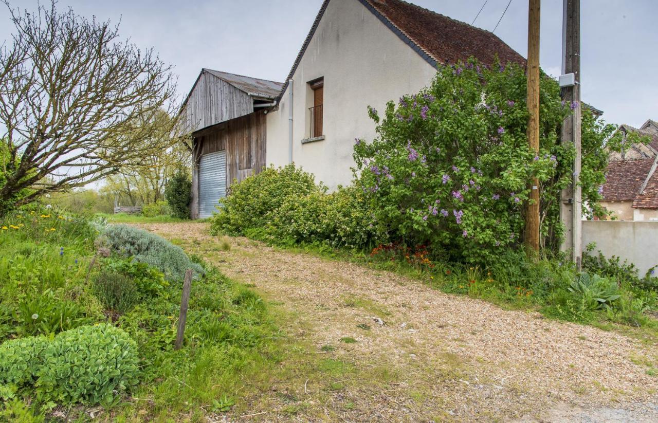 Le Beverly A 9 Min De Beauval Chateauvieux  Exterior photo